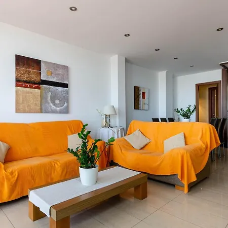 Yourhouse Mulet *